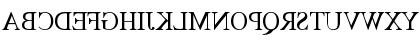 Download MirrorImage Regular Font
