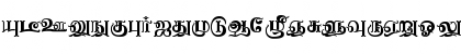 Download Nagananthini Regular Font