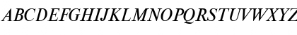 Download NewtonCTT Italic Font