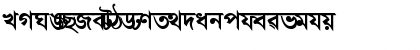 Download AkrutiBngBharati Bold Font
