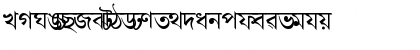 Download AkrutiBngBharati Normal Font