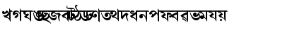 Download AkrutiBngSharat Bold Font