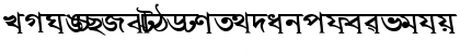 Download AkrutiBngVivek Bold Font