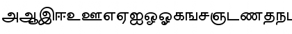Download AkrutiTmlBarathi Bold Font