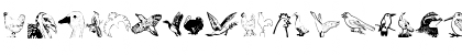 Download AnimalsAnimalsBirds Regular Font
