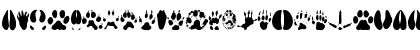 Download AnimalTracks Regular Font