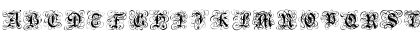 Download Gothic Flourish Regular Font