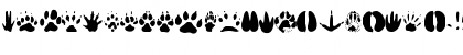 Download AnimalTracks Regular Font