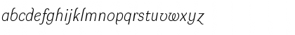 Download DynaGrotesk L Italic Font