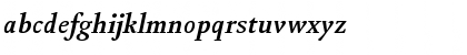 Download Kingfisher Bold Italic Font