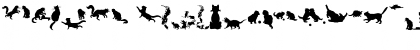 Download CatsCo Regular Font
