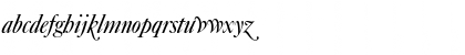 Download Caslon-Elegant-Swash Italic Font