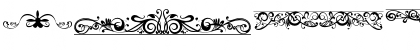 Download ornaments labels and frames Regular Font