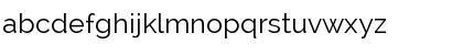 Download Raleway Regular Font