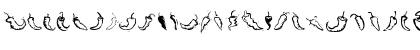 Download ChiliPepper Dingbats Regular Font