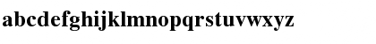 Download WinSoft Serif Pro Bold Font