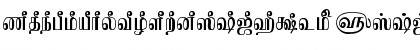 Download TAMKadambri Regular Font