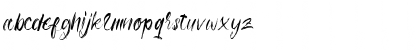 Ottodidact Regular Font Lowercase Preview