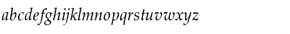 Download Palladius Italic Font