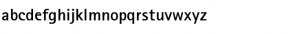 Download RotisSansSerif65 Bold Font