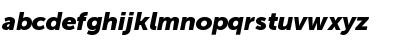 Download Museo Sans 900 Italic Font