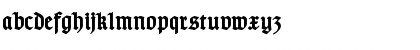 Download TypographerGotisch D Bold Font