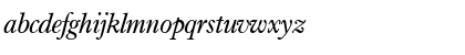 Download I771-Roman Italic Font