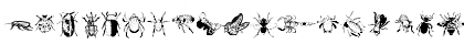 Download Insects Regular Font