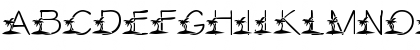 Download LMS Tropical Island Dream Regular Font Lowercase Preview