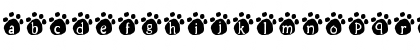 Download Lotus Paws Regular Font Lowercase Preview