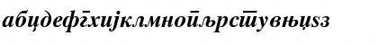 Download Macedonian Tms Bold Italic Font