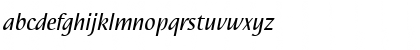 Download Nautilus LT Roman Italic Font
