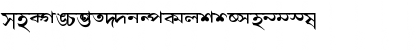 Download AkrutiBngBharati Normal Font