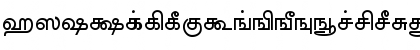 Download AkrutiTmlBarathi Bold Font