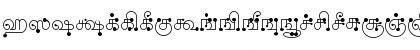 Download AkrutiTmlDalapati Normal Font