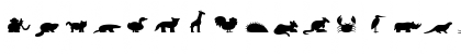 Download Animals Becker Normal Font