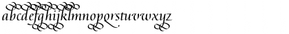 Download Augusta Cancelaresca Swash Regular Font
