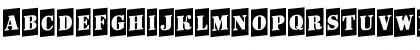 Download a_DodgerCmUp Regular Font Download a_DodgerCmUp Regular Font