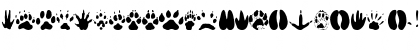 Download AnimalTracks Regular Font