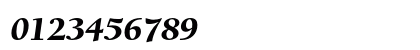 BerkeleyOldStyleEF BlackItalic