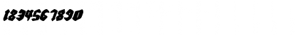 Download Bierg䲴en Italic Italic Font Numeric Preview