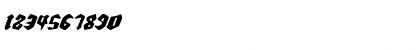 Download Bierg䲴en Light Italic Light Italic Font Numeric Preview