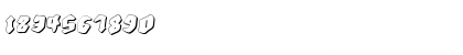 Download Bierg䲴en Rotalic Shadow Rotalic Shadow Font Numeric Preview
