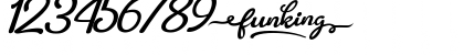 Download Funking Regular Font