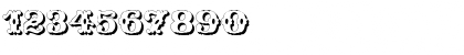Download Wild West Shadow Regular Font