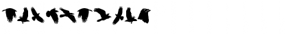 Download Dark Crow Swash PERSONAL USE Regular Font