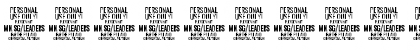 Download Leaders PERSONAL USE ONLY Regular Font