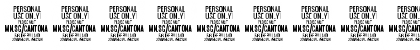 Download Cantona Script Regular Font