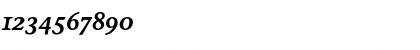 Download StoneInfOSITC Italic Font Numeric Preview Download StoneInfOSITC Italic Font Numeric Preview