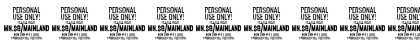 Download Mainland PERSONAL Bold Italic Font